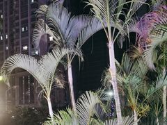 -勝記酒家·37年老字号·经典粤菜(荔枝公园店)