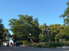 -尼亚加拉瀑布州立公园