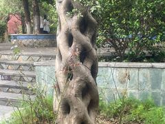-广州神农草堂中医药博物馆