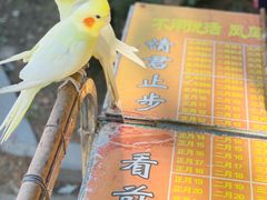 -吴桥杂技大世界