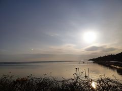 -贡湖湾湿地公园