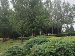 -北坞公园