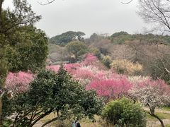 -无锡梅园公园