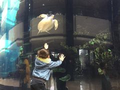 -OPEN開全日自助餐厅·西餐·海鲜(佛山希尔顿酒店)