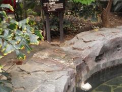 -龙达温泉生态城
