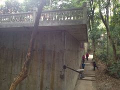 iphone_upload_pic-西湖风景区十里琅珰-五云山