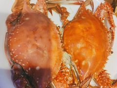 -老大连·海肠捞饭·大连海鲜大连菜(西安路店)