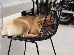 -NOTBAD 须时·咖啡馆
