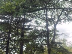 -青岛中山公园-索道售票处