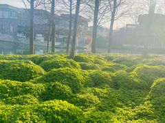 -水月周庄铂尔曼酒店-水月荟中餐厅