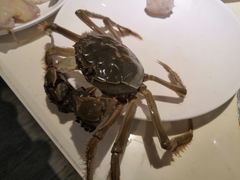 -加餐海鲜自助(集美银泰百货店)