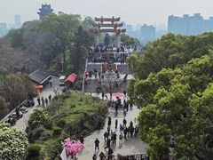 -黄鹤楼公园(黄鹤楼)