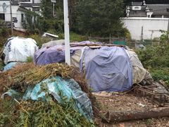 -石塘人家