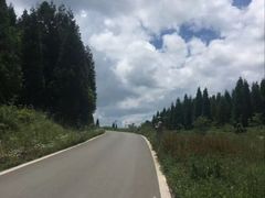 -武陵山森林公园