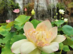 -广州莲花山旅游区
