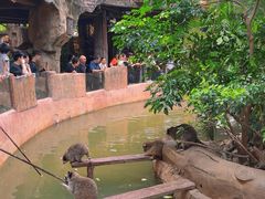 -长鹿旅游休博园