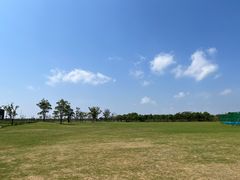 -春花秋色城市公园