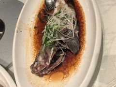 -大东海海鲜酒楼(渔人码头总店)