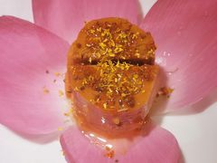 -庭院江南菜•烤鸭•非遗传承(上地•清河店)