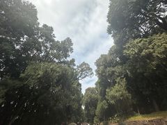 -七曲山风景区