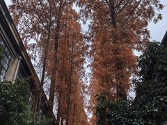 -南京晨光1865创意产业园
