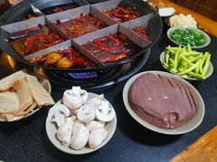 -肥龙火锅(南坪店)