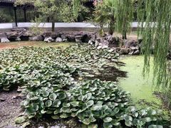 -天下玉苑