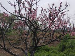 -白塔湖国家湿地公园