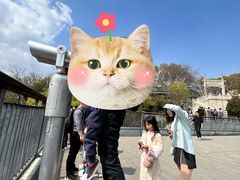 -紫金山山顶公园