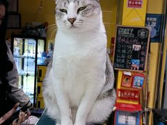 -谜盒子奇幻密室(南屏店)