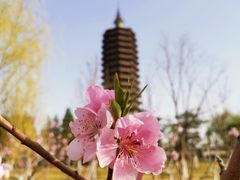 -西海子公园