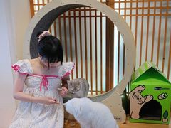 -猫小主咖啡·猫咖cat cafe(福田店)