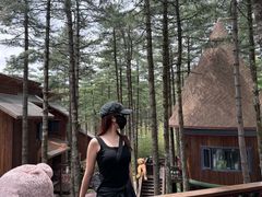 -洛阳白云山景区