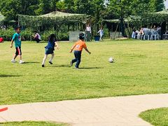 -上海长兴岛郊野公园