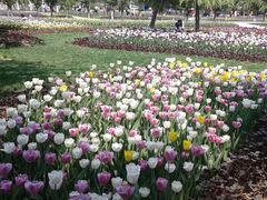 景点-石家庄市植物园
