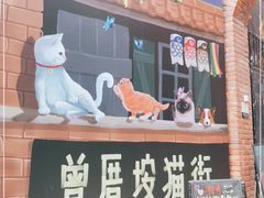 门面-有猫主题·治愈系猫咖(曾厝垵店)