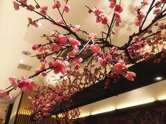 -老板恋上鱼(荣盛广场店)