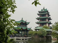 -桂湖森林公园
