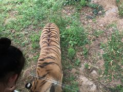 -西安秦岭野生动物园