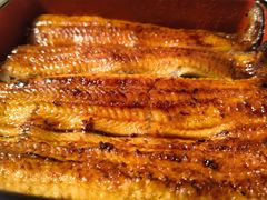 -料亭菊水楼