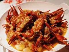 精品蒜蓉小龙虾-虎虎龙虾大排档(双井店)