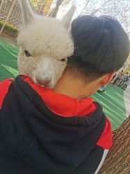 -萌宠亲子动物乐园(槐房万达店)