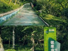-北岭山森林公园