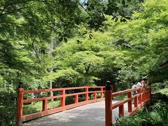 -三千院