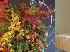 -同庆楼(奥体中心店)