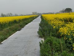 -中国天府农业博览园