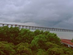 -宝安西湾红树林湿地公园