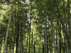 -山沟沟景区