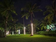 -海棠湾洲际-涛·海底餐厅·美人鱼·自助餐·海底隧道