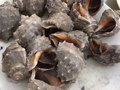 -清水湾3号(东方小周海鲜店)